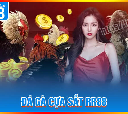 Đá gà cựa sắt RR88 – Đắm chìm trong những chiến kê đẳng cấp